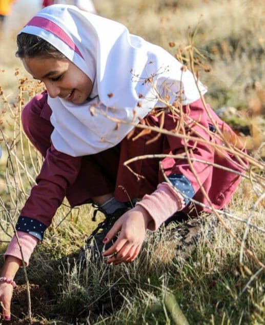 برنامه درختکاری